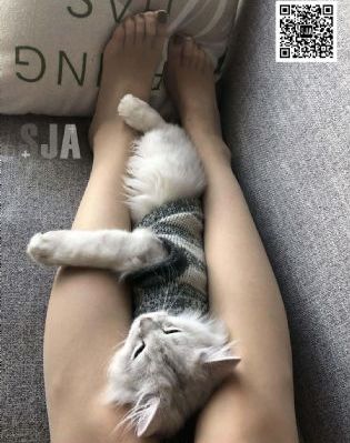 小早川怜子在线观看_BD英语在线播放